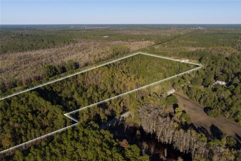 Land in Glen Saint Mary, Florida № 925957 - photo 9