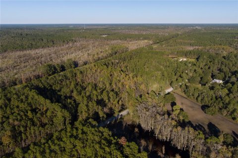 Land in Glen Saint Mary, Florida № 925957 - photo 8