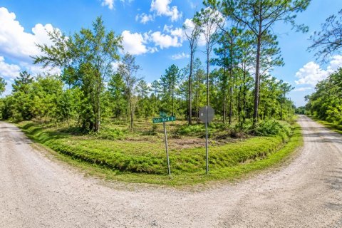 Land in Webster, Florida № 2167032