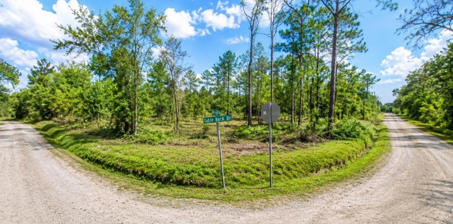 Land in Webster, Florida № 2167032