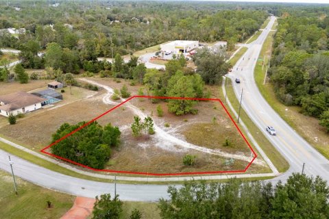 Land in Deltona, Florida № 1437908 - photo 5