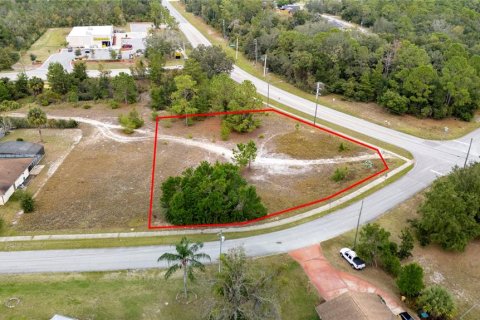 Land in Deltona, Florida № 1437908 - photo 3