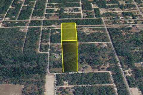 Terreno en venta en Interlachen, Florida № 2219079 - foto 7