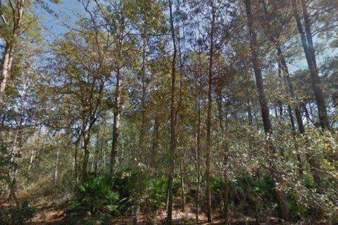 Terreno en venta en Interlachen, Florida № 2219079 - foto 8