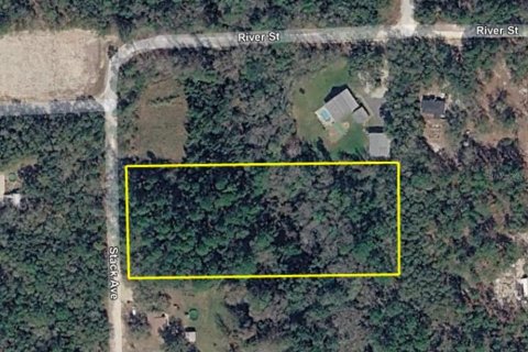 Terreno en venta en Interlachen, Florida № 2219079 - foto 3
