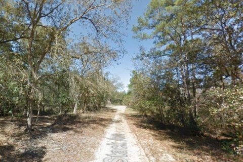 Terreno en venta en Interlachen, Florida № 2219079 - foto 10
