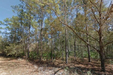 Terreno en venta en Interlachen, Florida № 2219079 - foto 11