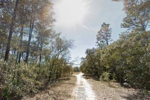 Terreno en venta en Interlachen, Florida № 2219079 - foto 9