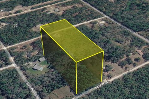Terreno en venta en Interlachen, Florida № 2219079 - foto 2