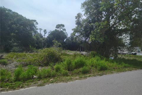 Terreno en venta en Punta Gorda, Florida № 2158778 - foto 3