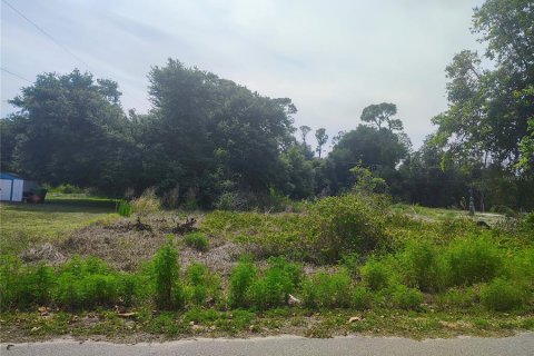 Terreno en Punta Gorda, Florida № 2158778