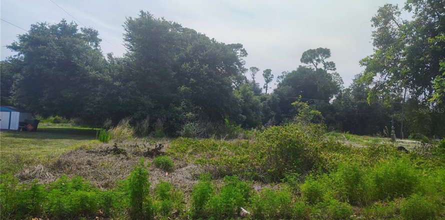 Terreno en Punta Gorda, Florida № 2158778
