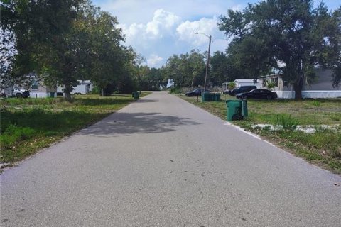 Terreno en venta en Punta Gorda, Florida № 2158778 - foto 2