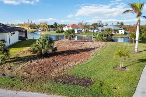 Land in Port Charlotte, Florida № 1425352 - photo 4