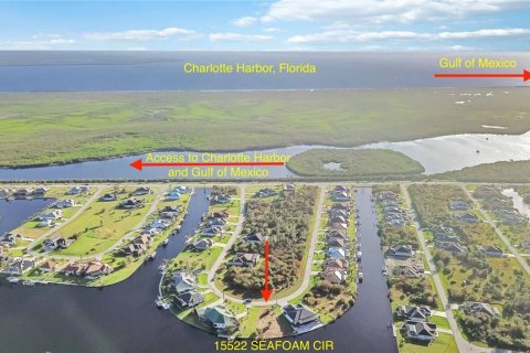 Land in Port Charlotte, Florida № 1425352 - photo 1