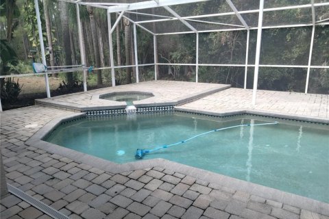 Villa ou maison à louer à Palm Harbor, Floride: 4 chambres, 236.81 m2 № 2337286 - photo 6