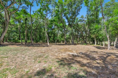 House in Orlando, Florida 2 bedrooms, 91.6 sq.m. № 2198420 - photo 16