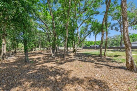 House in Orlando, Florida 2 bedrooms, 91.6 sq.m. № 2198420 - photo 14