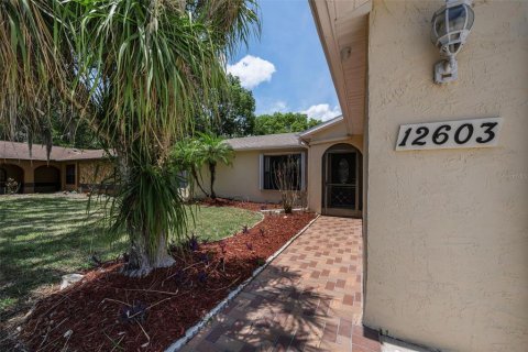 Villa ou maison à vendre à Hudson, Floride: 3 chambres, 172.8 m2 № 2204410 - photo 17