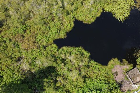 Terreno en venta en Lutz, Florida № 1801842 - foto 12
