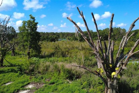 Terreno en venta en Lutz, Florida № 1801842 - foto 24
