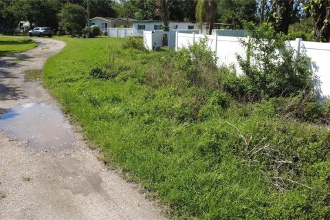 Terreno en venta en Lutz, Florida № 1801842 - foto 2