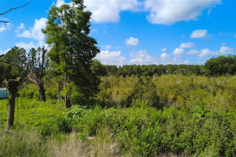 Terreno en venta en Lutz, Florida № 1801842 - foto 14