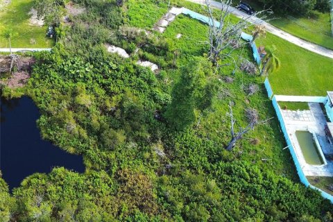 Terreno en venta en Lutz, Florida № 1801842 - foto 8