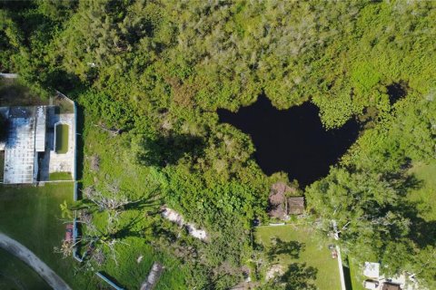 Terreno en venta en Lutz, Florida № 1801842 - foto 7