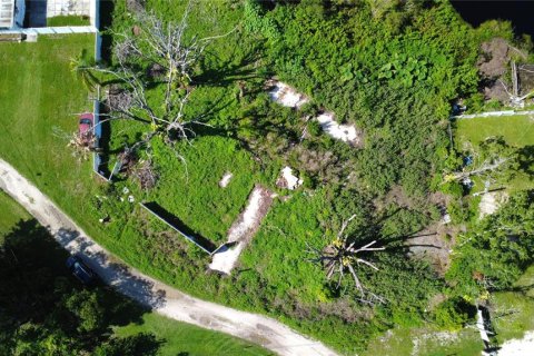 Terreno en venta en Lutz, Florida № 1801842 - foto 4