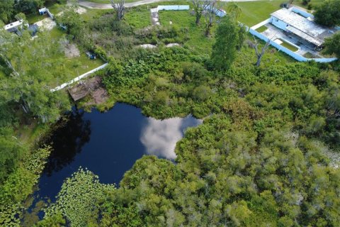 Terreno en venta en Lutz, Florida № 1801842 - foto 9