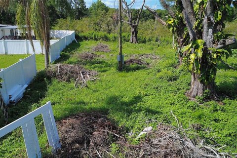 Terreno en venta en Lutz, Florida № 1801842 - foto 17