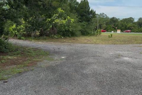 Land in Edgewater, Florida № 1765651 - photo 2