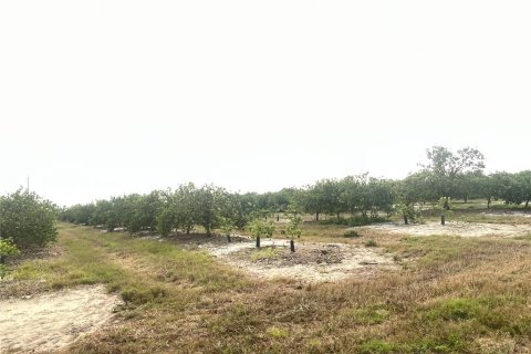 Land in Arcadia, Florida № 2142580 - photo 2