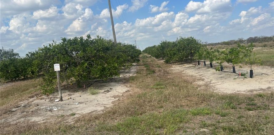 Land in Arcadia, Florida № 2142580