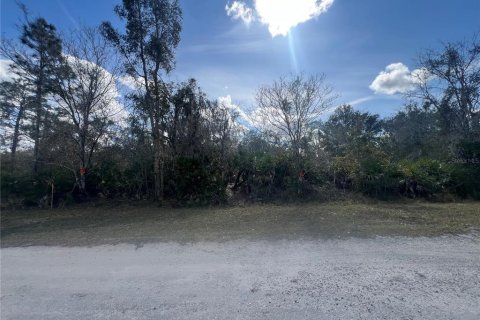 Land in Indian lake estates, Florida № 2163117 - photo 5