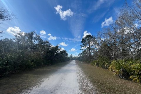 Land in Indian lake estates, Florida № 2163117 - photo 2