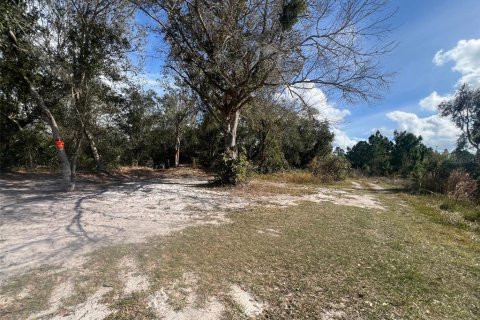 Land in Indian lake estates, Florida № 2163117 - photo 9
