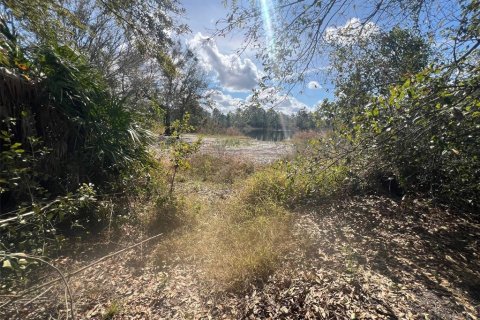 Land in Indian lake estates, Florida № 2163117 - photo 10