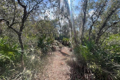 Land in Indian lake estates, Florida № 2163117 - photo 6