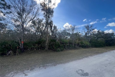 Land in Indian lake estates, Florida № 2163117 - photo 3