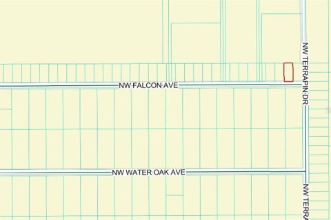 Land in Dunnellon, Florida № 2228555 - photo 2