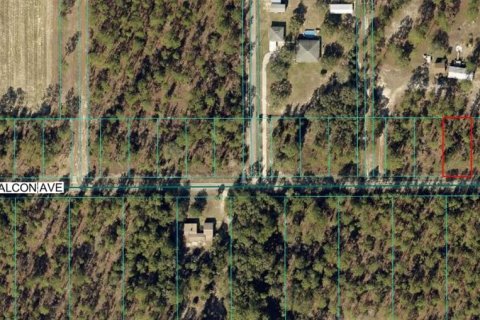 Terreno en Dunnellon, Florida № 2228555