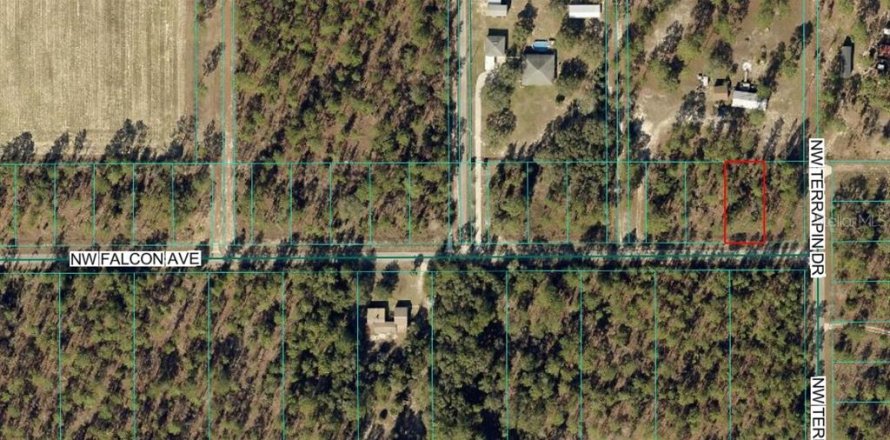Land in Dunnellon, Florida № 2228555