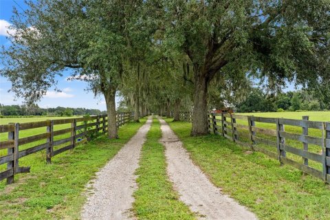 Villa ou maison à vendre à Spring Hill, Floride: 4 chambres, 251.58 m2 № 2413613 - photo 5