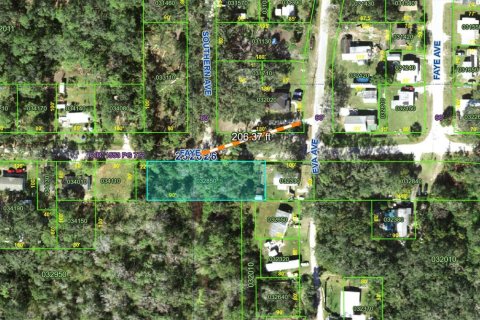 Land in Lakeland, Florida № 1826130 - photo 1