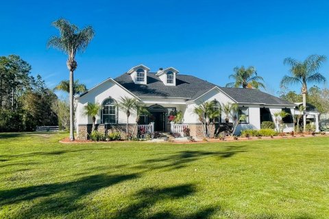 House in Ormond Beach, Florida 3 bedrooms, 223.06 sq.m. № 2218126