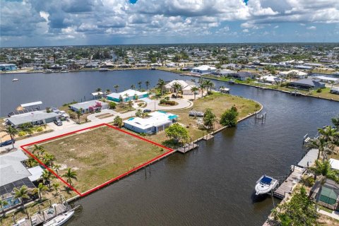 Land in Port Charlotte, Florida № 1755366 - photo 17