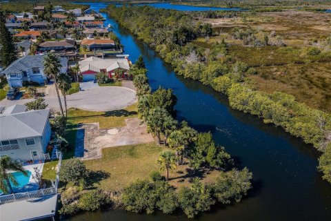 Land in Port Richey, Florida № 985580 - photo 2