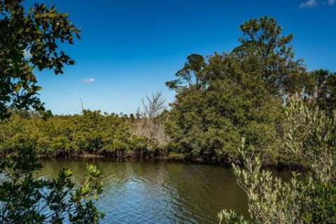 Land in Port Richey, Florida № 985580 - photo 17